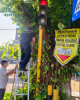 GIAT PERABASAN RANTING POHON YANG MENUTUPI TRAFFIC LIGHT DAN RAMBU LALU LINTAS